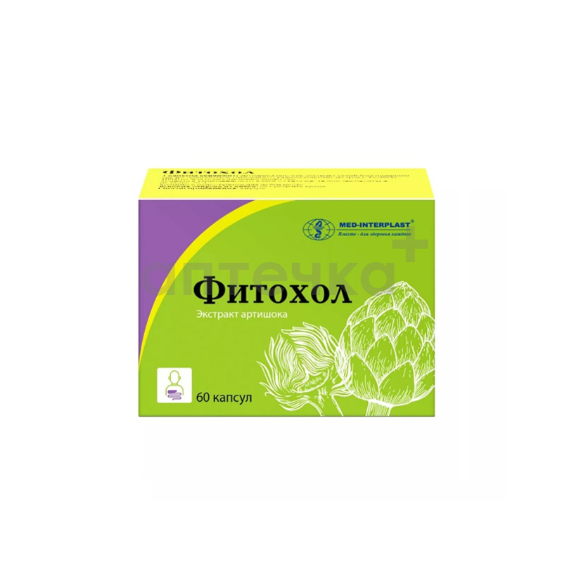 ФИТОХОЛ (капс. 100 мг  №10х6)