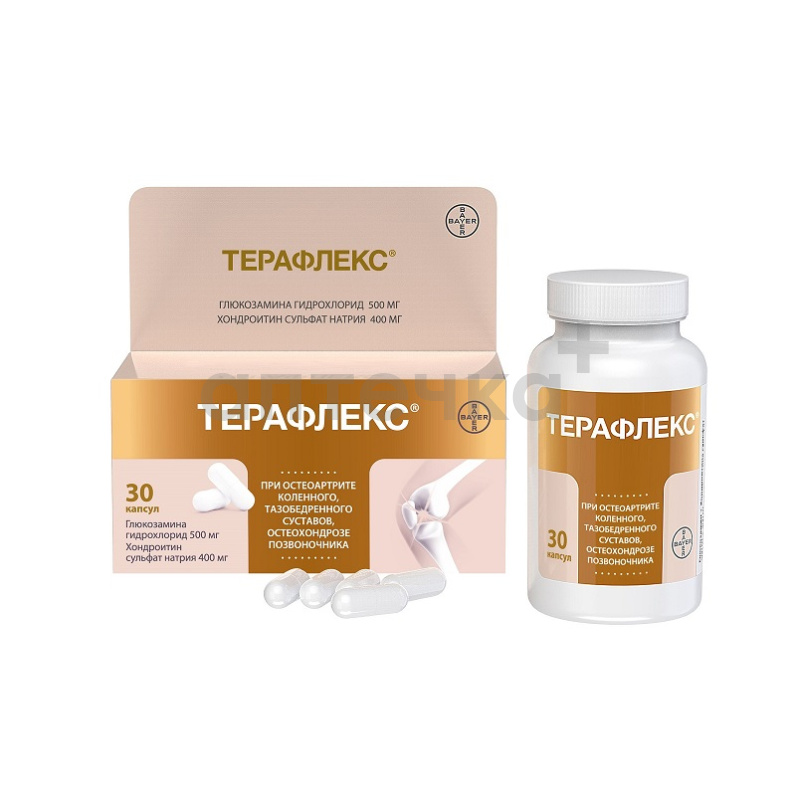 ТЕРАФЛЕКС (капс. 500мг/400мг фл. №30)